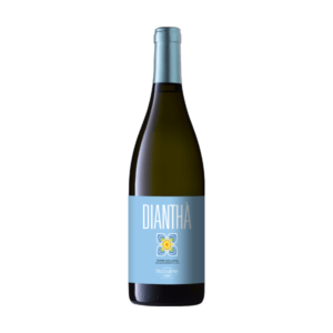 Diantha Sicilia ist ein guter Wein aus der Kellerei Pellegrino in Marsala auf Sizilien.