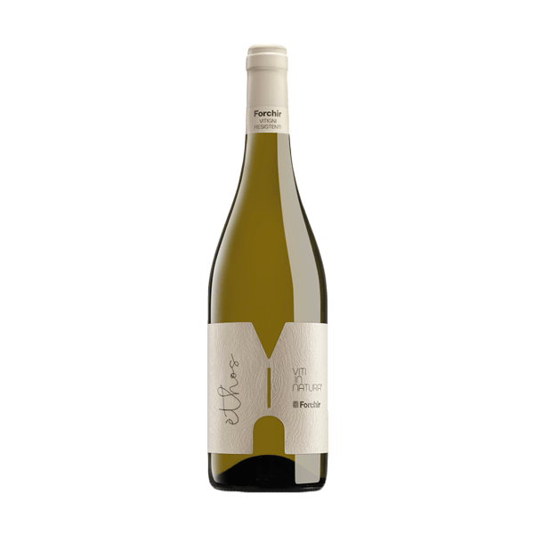 Ethos Bianco von Forchir