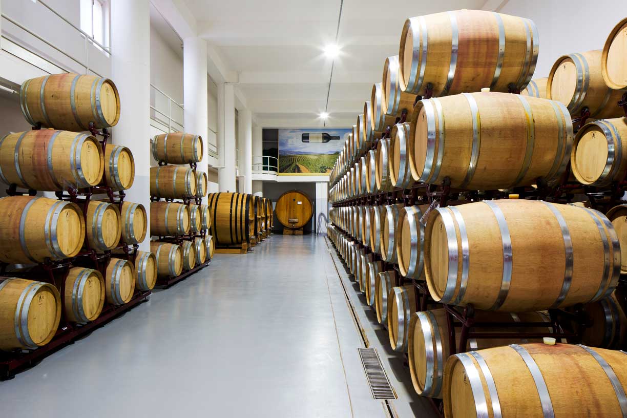 Weinfässer in den Reifekellern der Cantina di Venosa, wo der Wein in Holzfässern gelagert wird