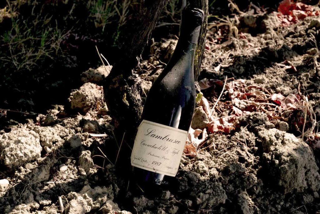 Eine alte Lambrusco-Flasche lehnt an einem Weinstock auf trockener Erde, ein Symbol fÃ¼r die tiefen Wurzeln und die Geschichte dieses italienischen Weins.