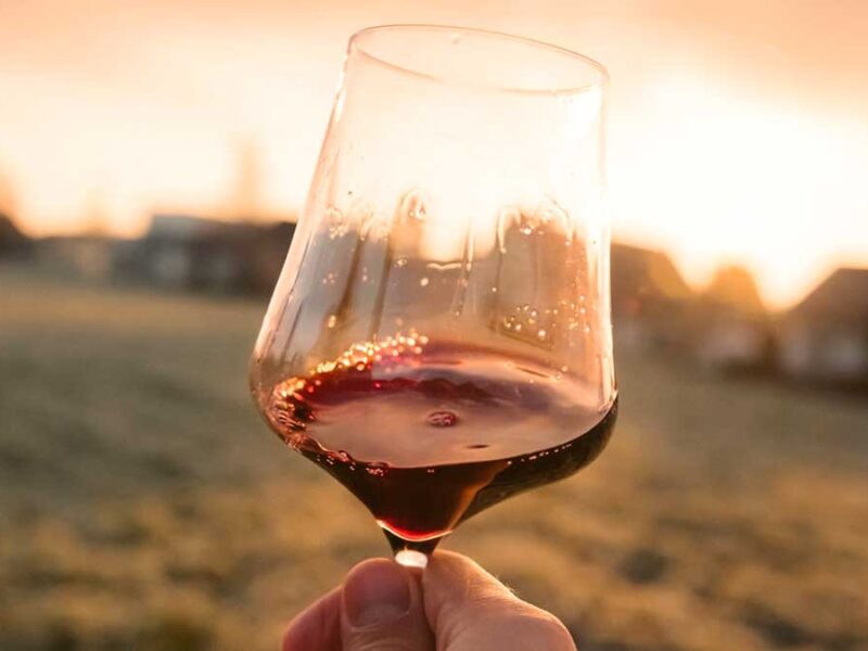 Ein Glas Marsala-Wein wird in der Hand gegen den Sonnenuntergang gehalten, mit ländlicher Kulisse im Hintergrund.